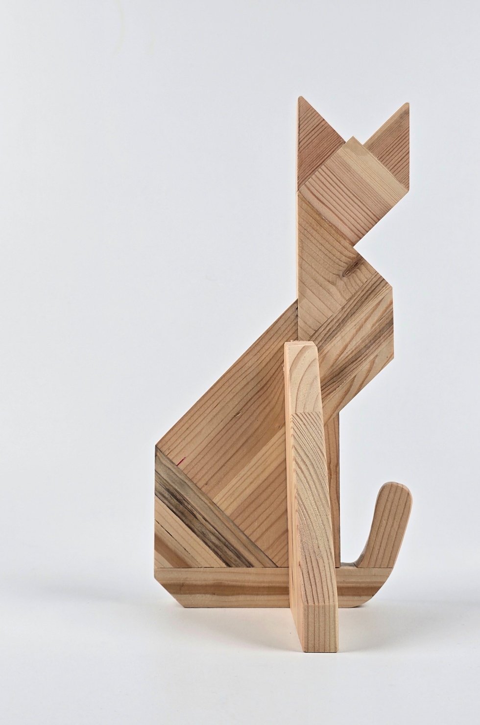 İstanbul'un Kedileri