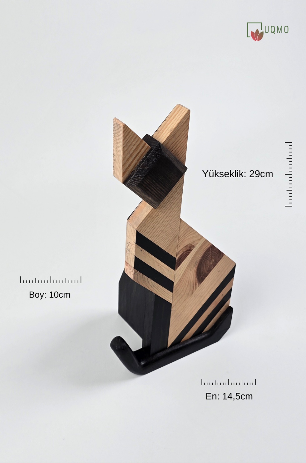 İstanbul'un Kedileri