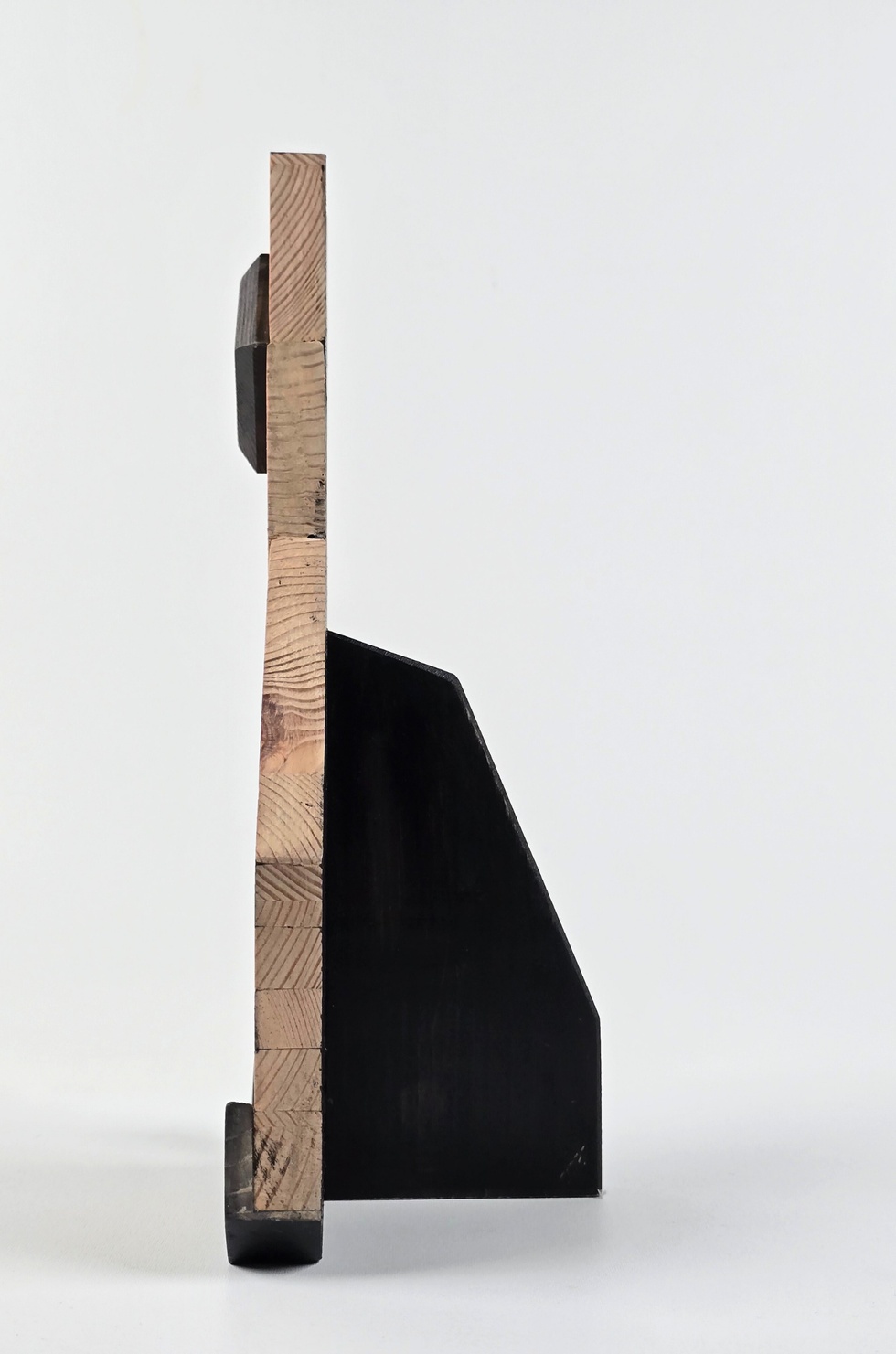 İstanbul'un Kedileri