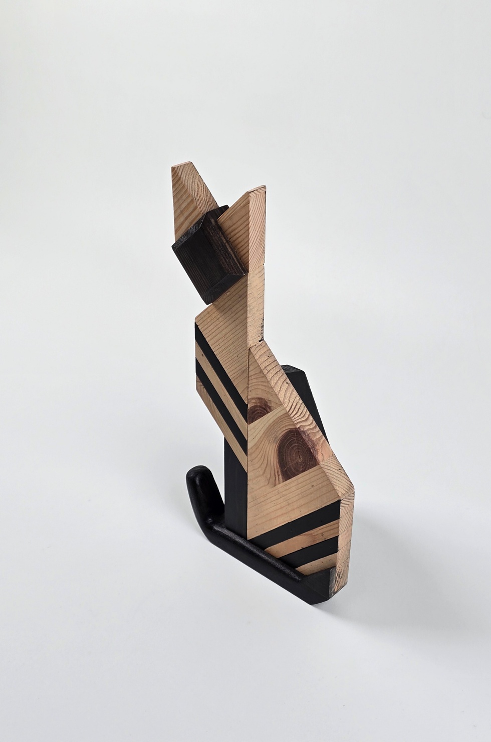 İstanbul'un Kedileri