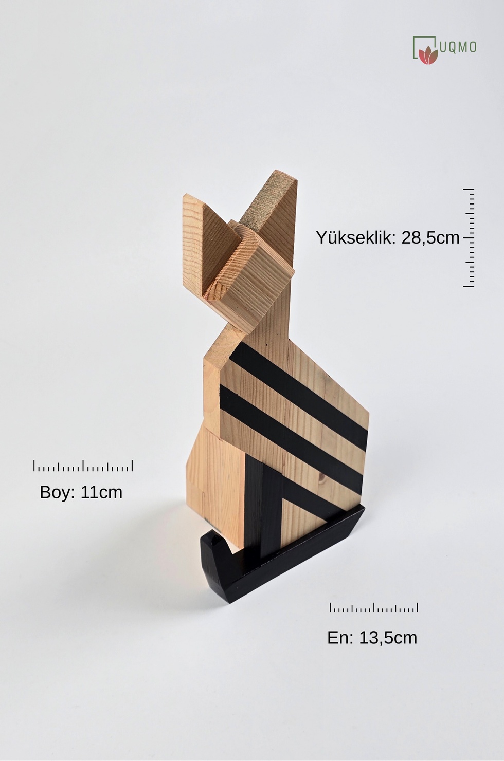 İstanbul'un Kedileri