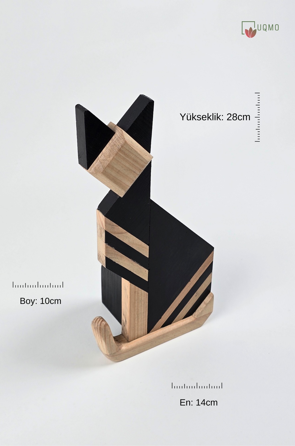 İstanbul'un Kedileri