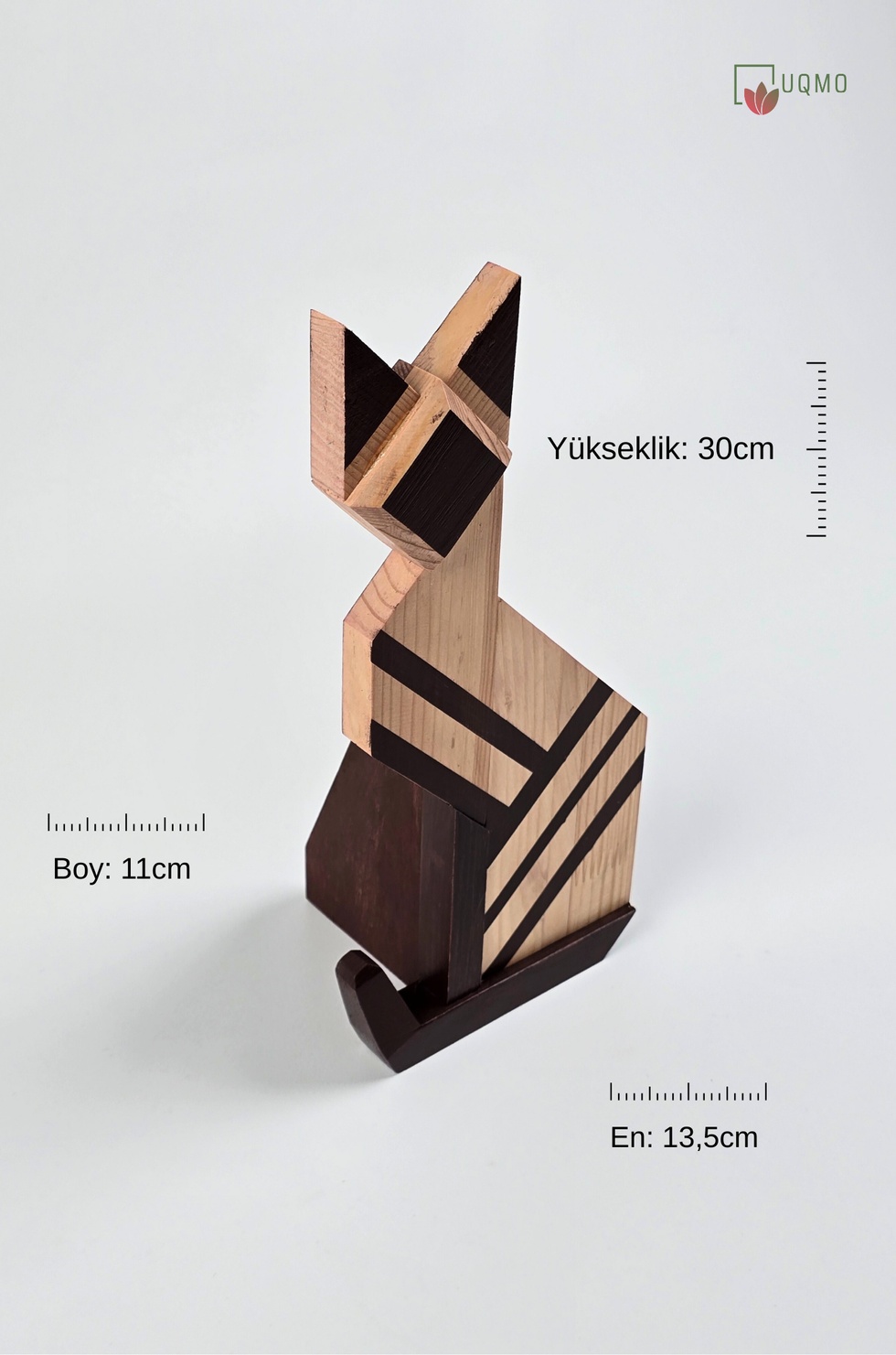 İstanbul'un Kedileri