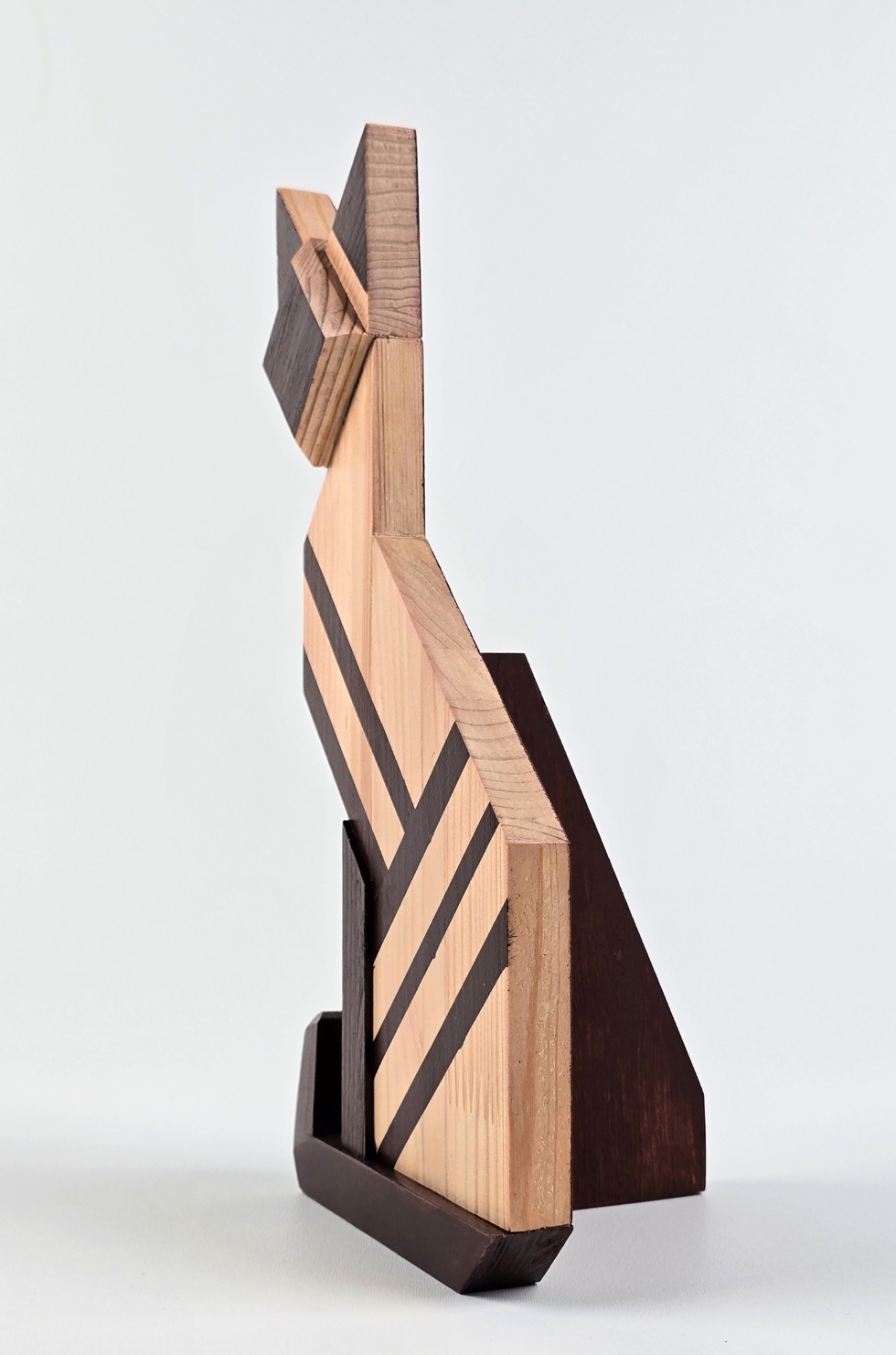 İstanbul'un Kedileri