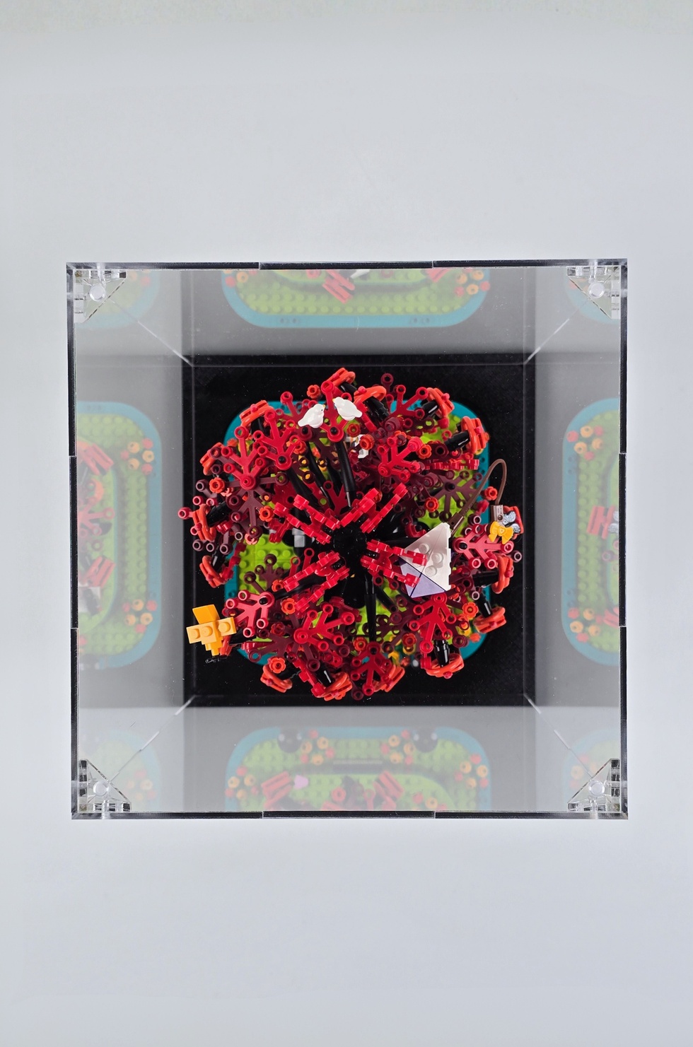 LEGO® Aile Ağacı (21346) İle Uyumlu Teşhir Kutusu