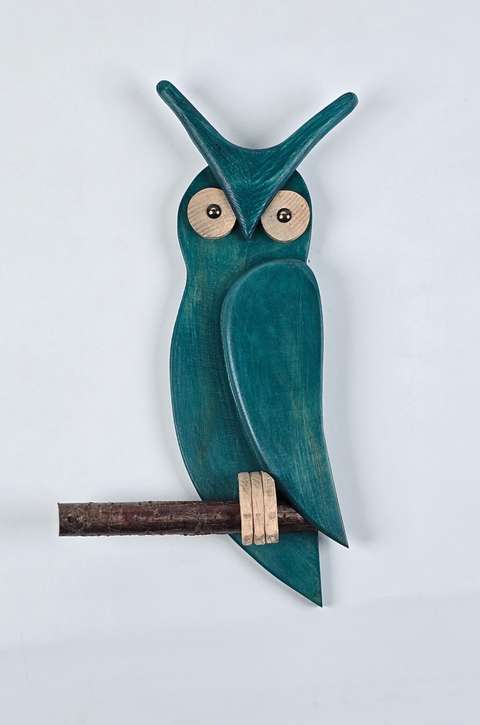 Mavili Baykuş Serisi